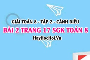Bài 2 trang 17 Toán 8 Tập 2 Cánh Diều
